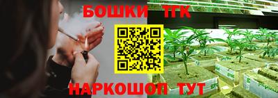 прущие крисы Владивосток
